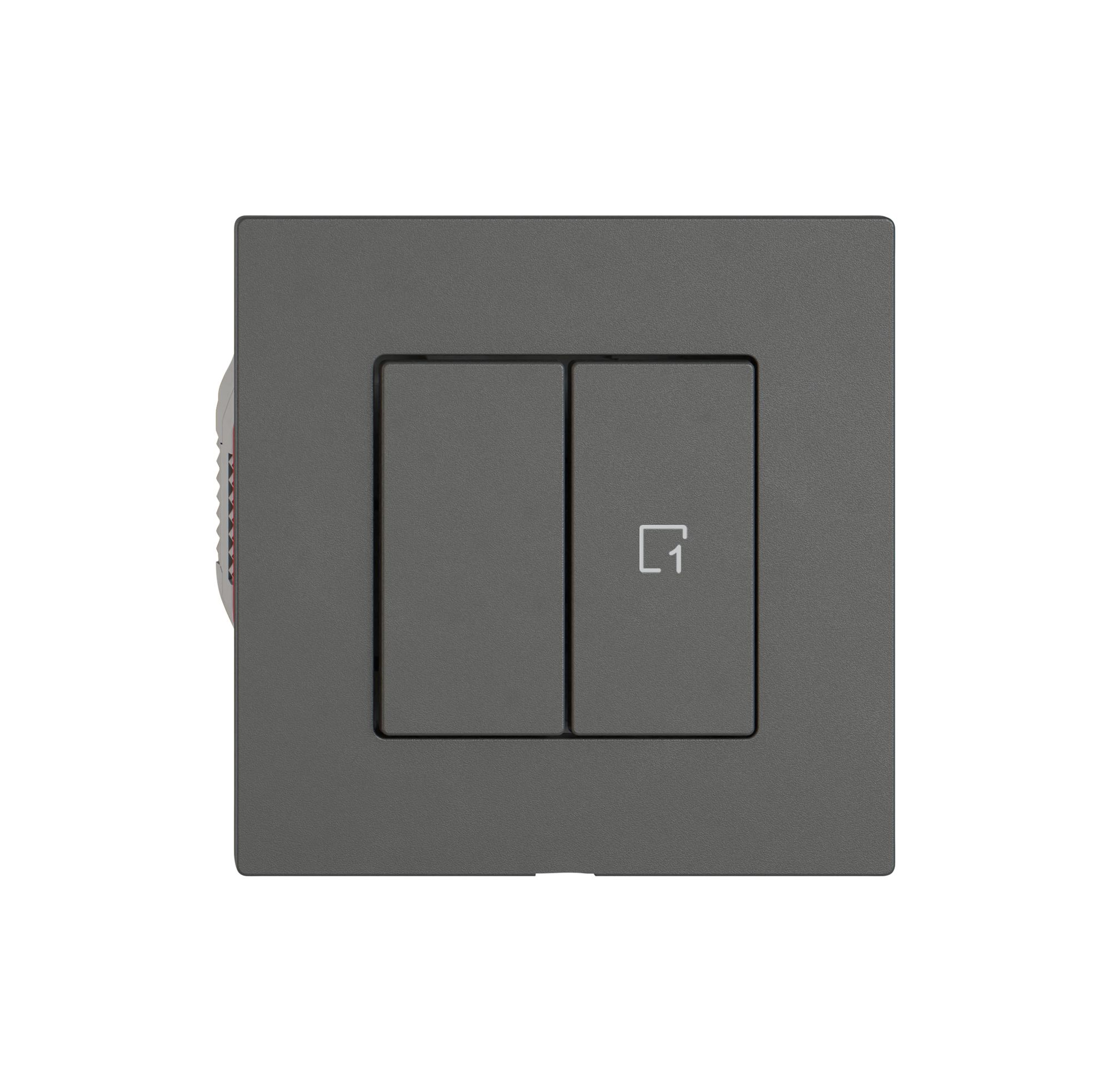 Interrupteur à poussoir EDIZIO.liv Wiser SNAPFIX® 1 scène 2 touches WLAN grf