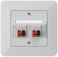 Prise ENC audio kallysto.trend 2× gris clair borne à étrier pour 2 haut-parleurs