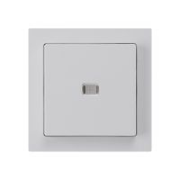 UP-Leuchttaster kallysto ARK hellgrau