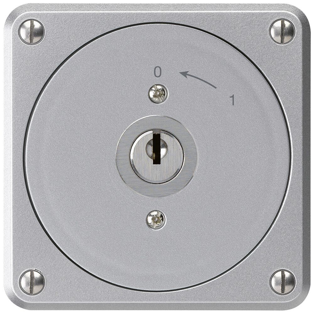 UP-Schlüsselschwenktaster robusto aluminium ohne Deckel 2P