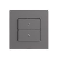 Nebenstelle 1K/2T zu Storenschalter Edue Wiser dunkelgrau