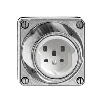 EB-Steckdose feucht T25 16A Al natur