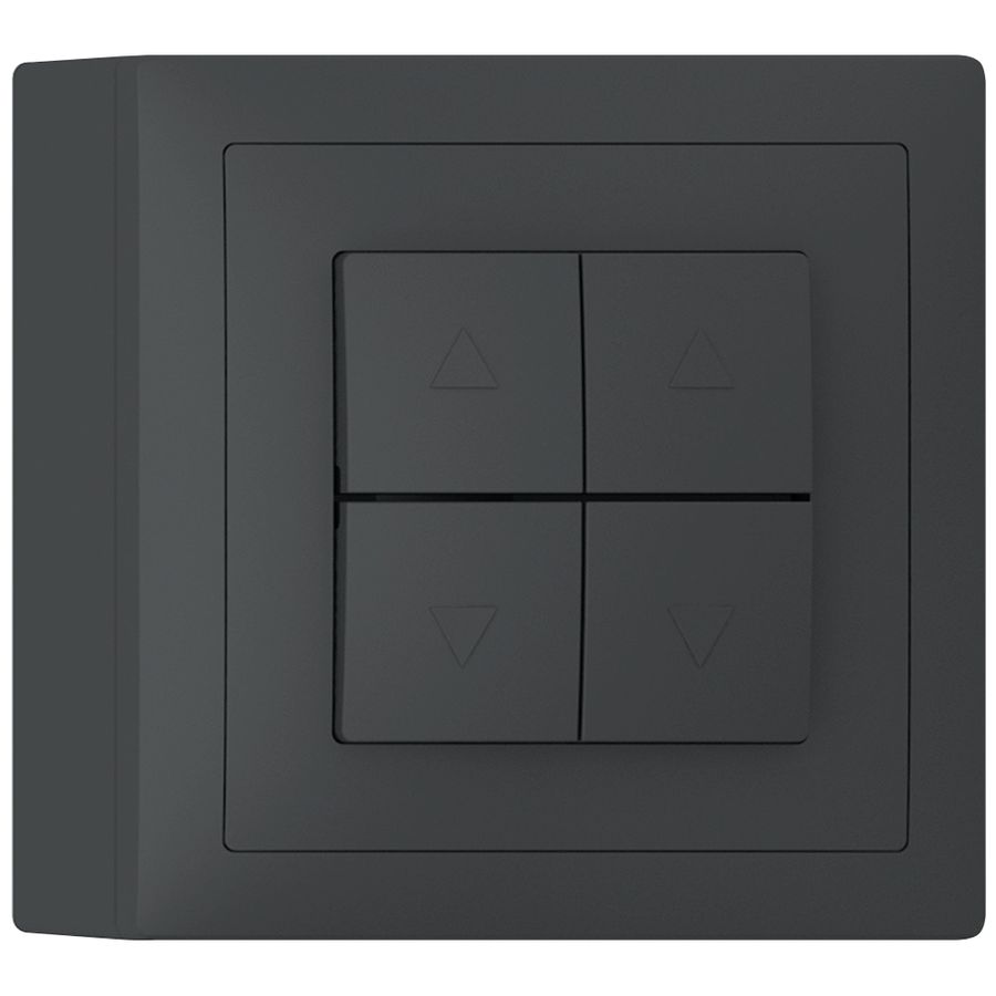 AP-Storentaster SIDUS anthrazit 2-Kanale