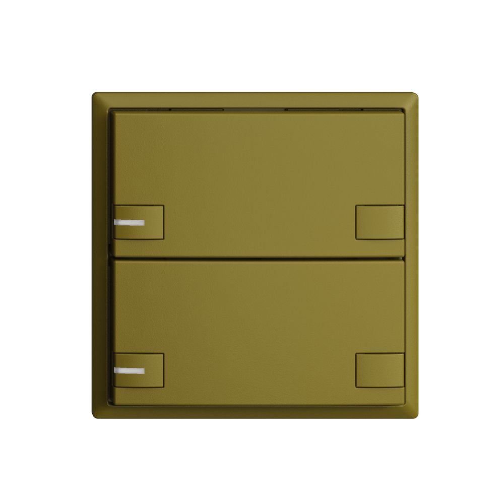 Poussoir ENC KNX 2× EDIZIOdue colore olive RGB avec LED