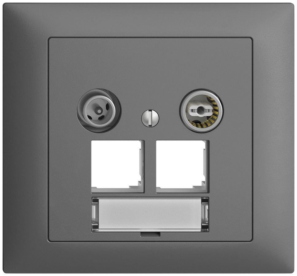 EB-Multimediadose EDIZIOdue FKE EASYNET 4dB, f.2×RJ45 S-One, dunkelgrau