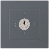 Interruttore rotativo INC kallysto.pro 1/1L antracite con serratura Kaba 8