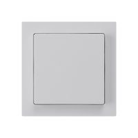 UP-Taster kallysto AR hellgrau