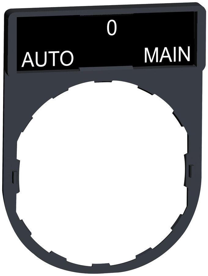 Placchetta Schneider Electric Auto-O-Main