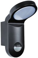 Luminaire automatique LED ESYLUX AOL 100 LED 3K, 140°, noir