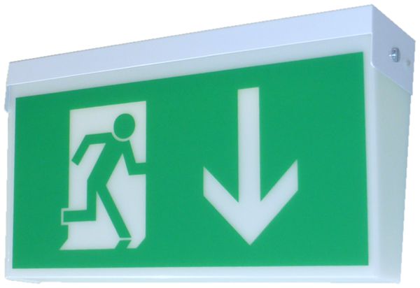 LED-Not-/Hinweisleuchte CFH LED PE+T