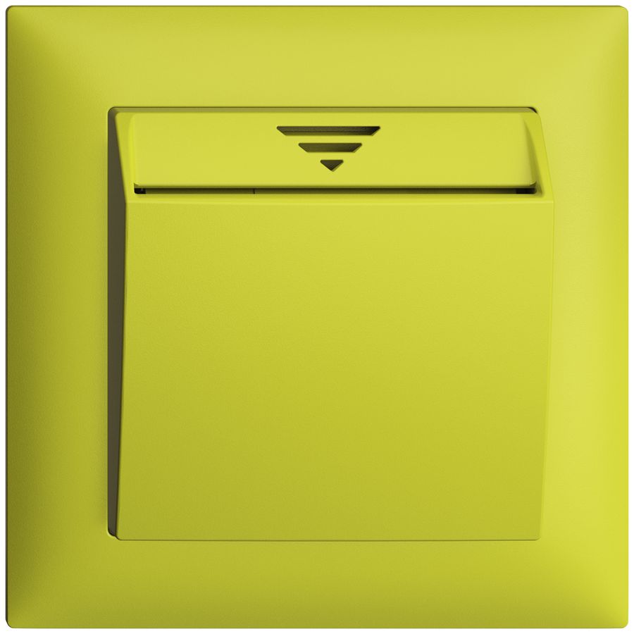 UP-Schalter Hotelcard 250VAC 1L EDIZIOdue lemon