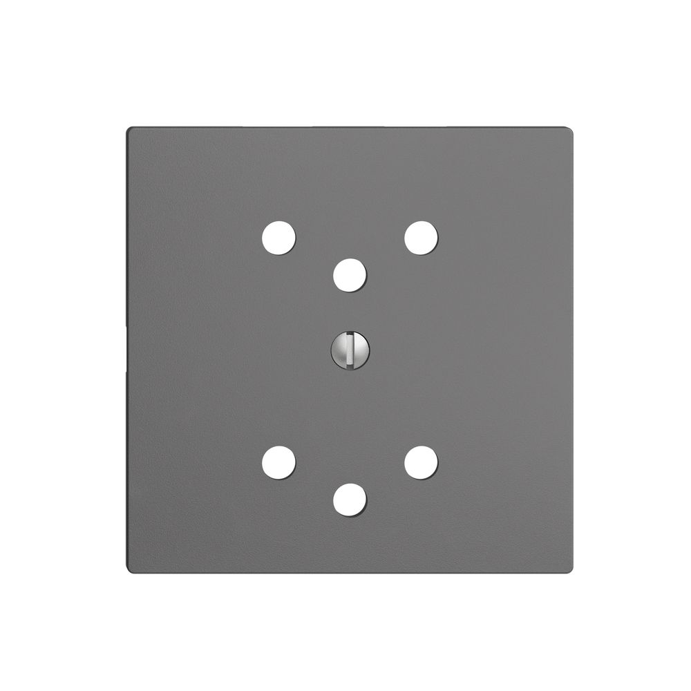 Frontplatte EDIZIOdue 2×T12 dunkelgrau