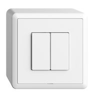 Interrupteur AP 2K/2T Edue Wiser blanc
