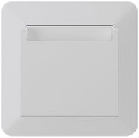Interrupteur Hotelcard ENC kallysto.trend 1L gris clair