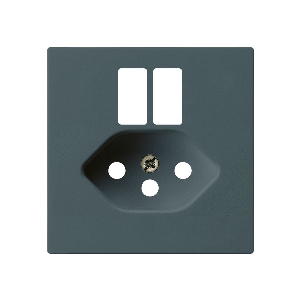 Frontplatte kallysto f.Steckdose 2×USB & T13 anthrazit