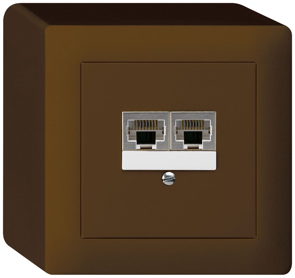 AP-Dose kallysto 2×RJ45s getrennt UKV braun