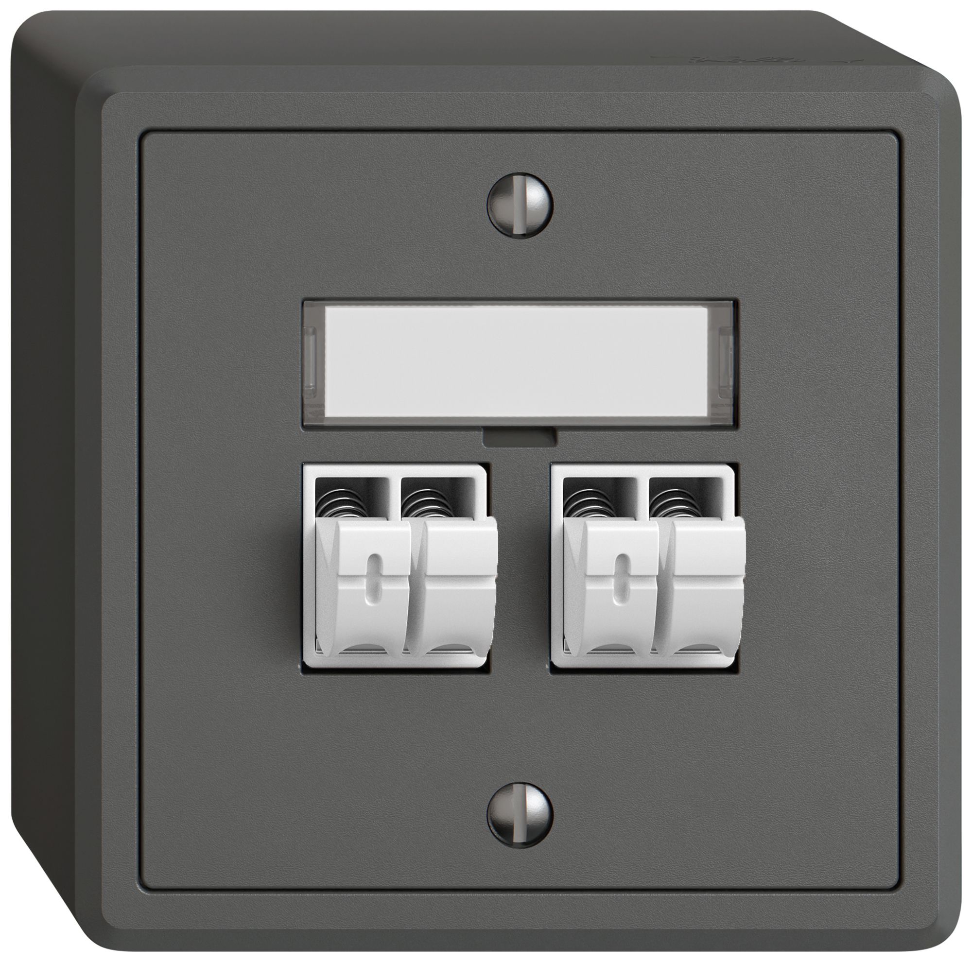 Prise audio AP EDIZIO.liv SNAPFIX® 2× grf