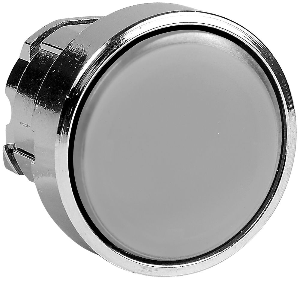 Calotte Schneider Electric IP65 affleurée BA9s clair