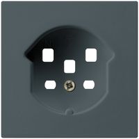 Placca frontale kallysto T25 antracite, 60×60mm per presa T25