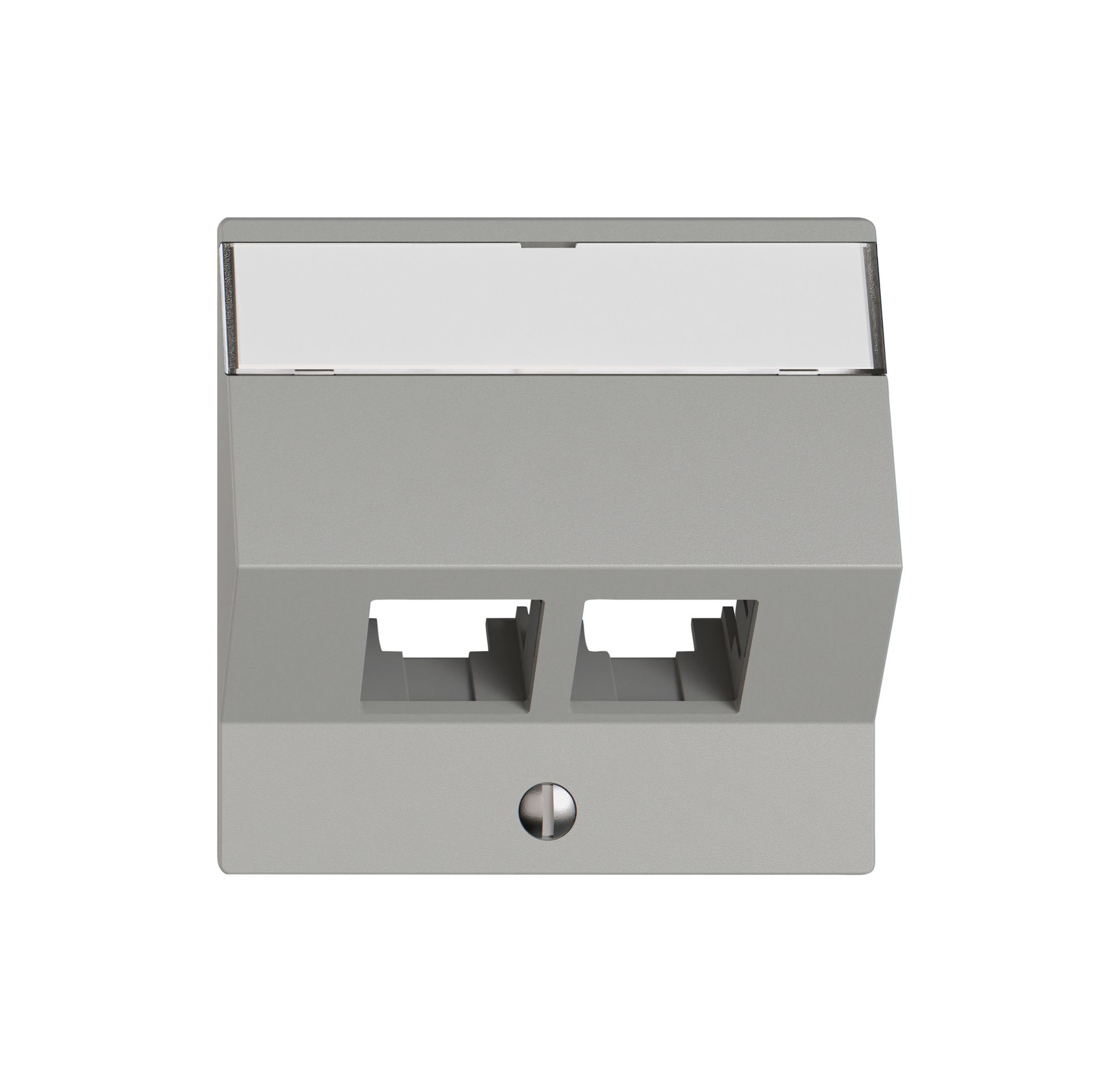 Montageset EDIZIO.liv EASYNET S-One SNAPFIX® schräg 2×RJ45 hgu