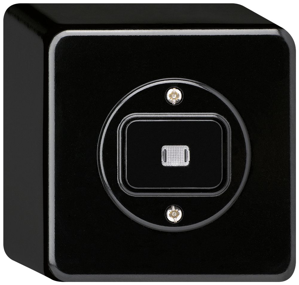 AP-Leuchtdrucktaster basico L-AR/1L schwarz