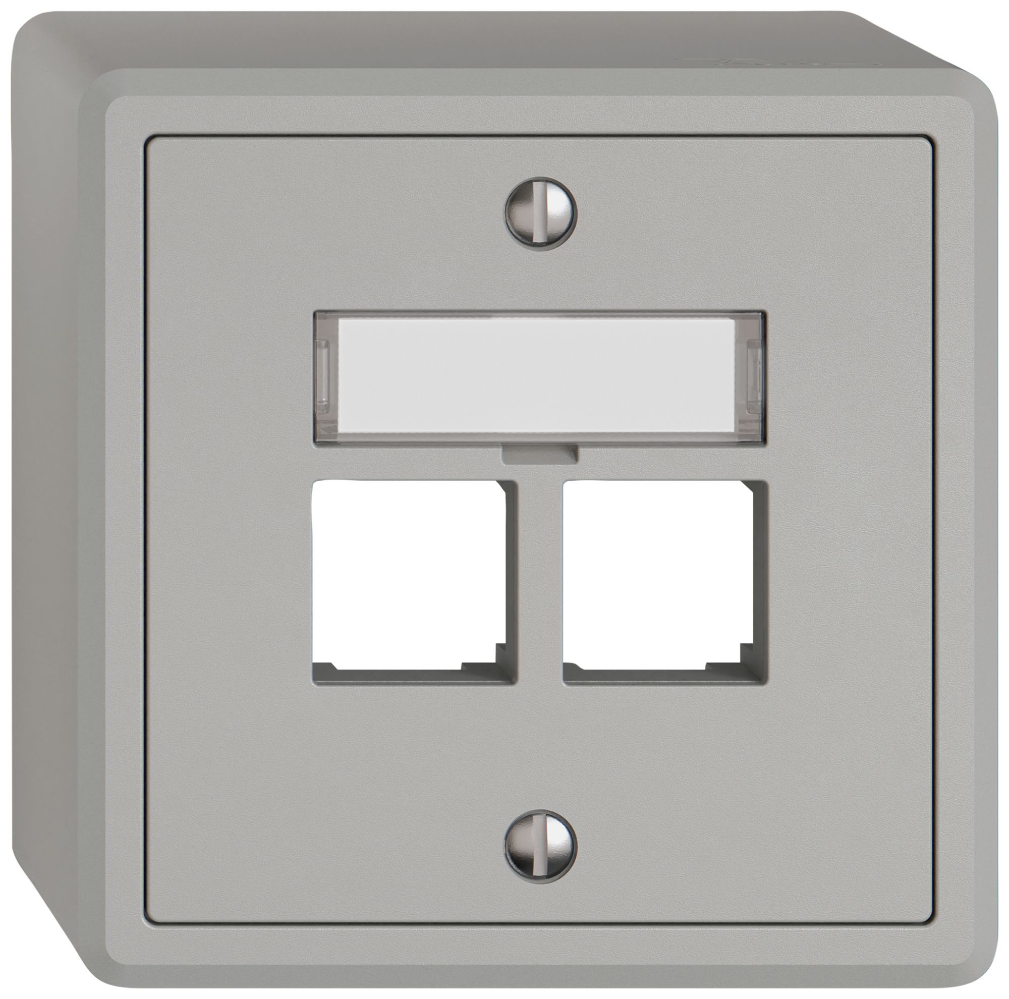 AP-Montageset EDIZIO.liv EASYNET S-One SNAPFIX® gerade 2×RJ45 hgu