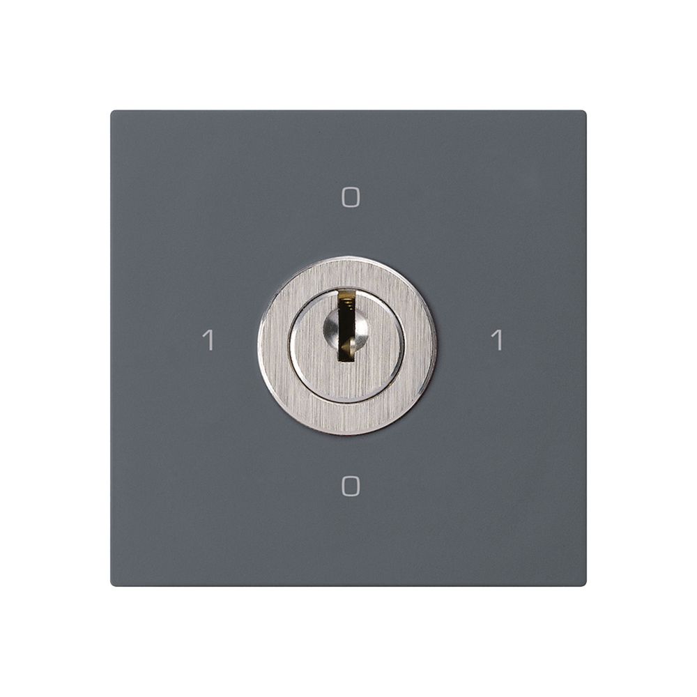 Einsatz zu Schlüsselschalter kallysto 0/1L anthrazit mit Schloss Kaba 8