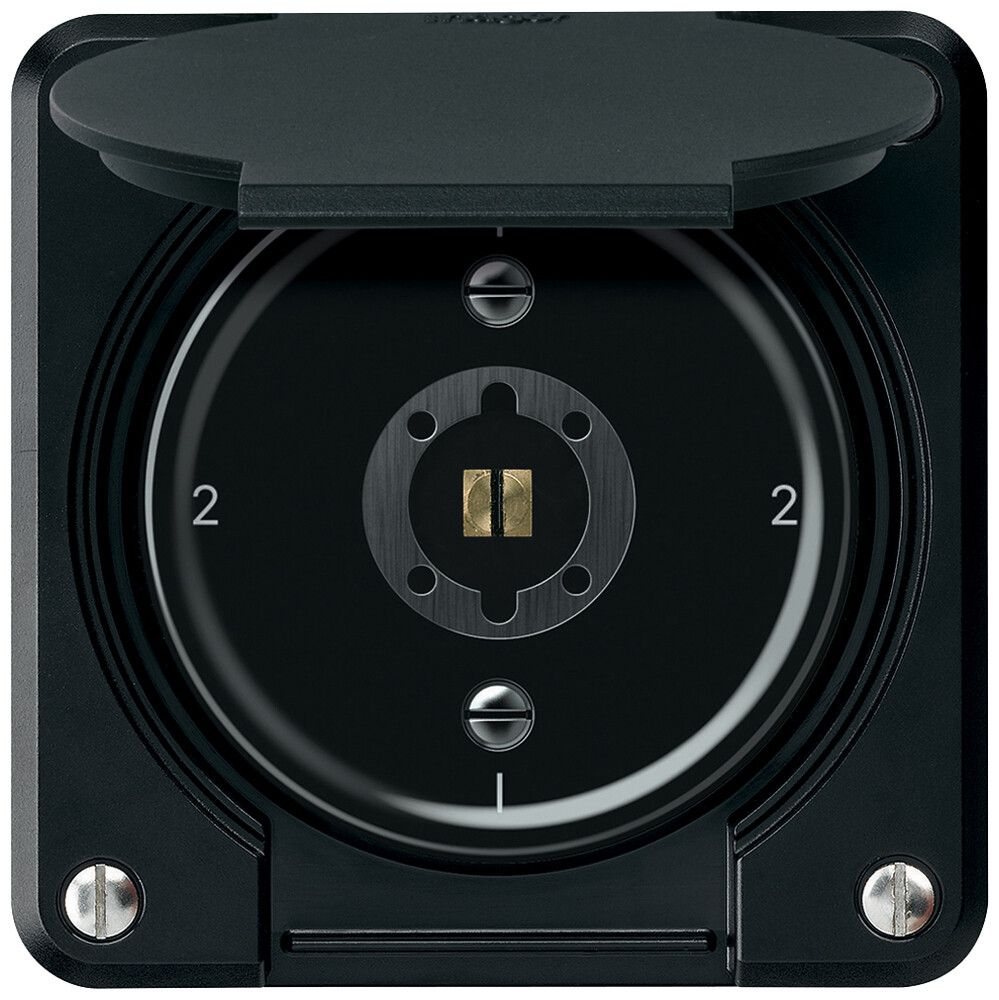 Interruttore a chiave robusto deviatore 16A 250V 86×86mm nero