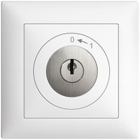 UP-Schwenktaster 0<-1/1P EDIZIOdue weiss mit Sicherheitsschloss