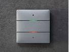 UP-Tastsensor Theben LUXORliving iON2, 2-fach, mit Temperatursensor, silber