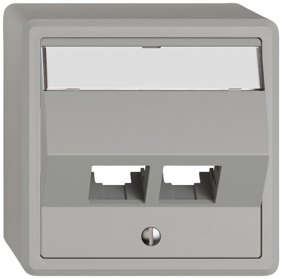 AP-Montageset EDIZIO.liv EASYNET S-One SNAPFIX® schräg 2×RJ45 hgu