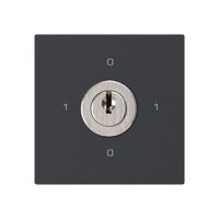 Einsatz zu Schlüsselschalter kallysto 0/1L schwarz mit Schloss Kaba 8