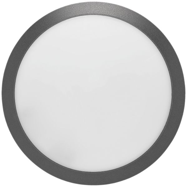 LED-Decken-/Wandleuchte ESSENTIEL 1000lm 9W ON/OFF Ø300mm anthrazit