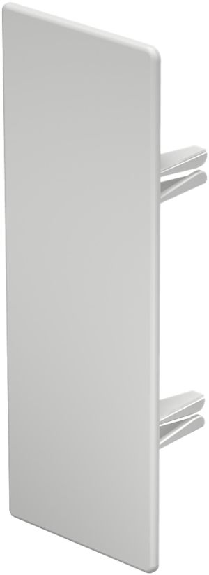 Plaque de fermeture Bettermann pour canal d'installation WDK blanc pur 60×170mm