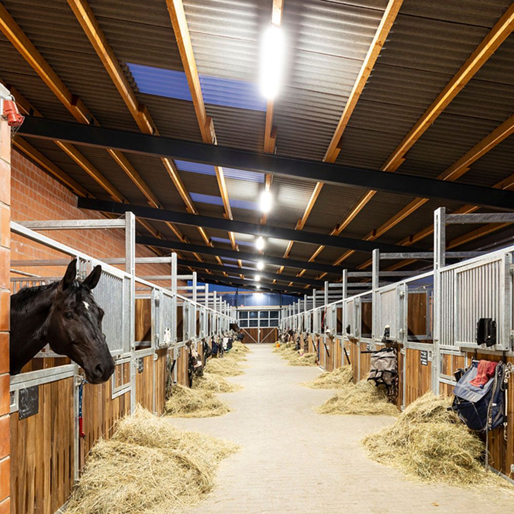 LED-Feuchtraumleuchte DOTLUX MISTRAL 36W 4845lm 840 IP65 1240×100 grau