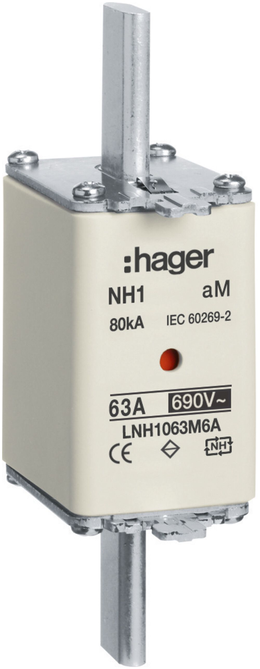 Fusibile HPC Hager DIN1 690VAC 63A aM segnalatore doppio inossidabile