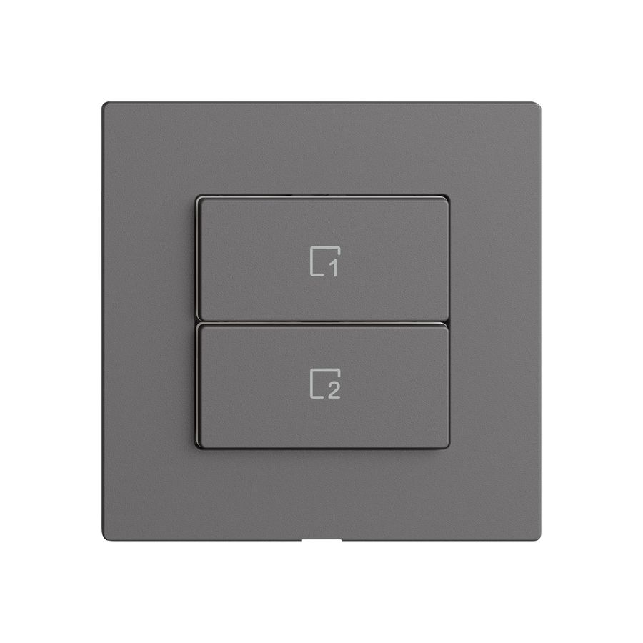 Comando per pulsante scene EDIZIOdue Wiser 2 scene 2t grs