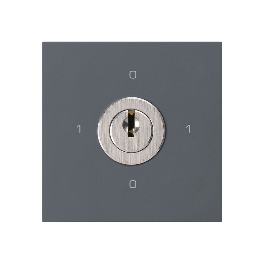 Einsatz zu Schlüsselschalter kallysto 0/1L anthrazit mit Schloss Kaba 8